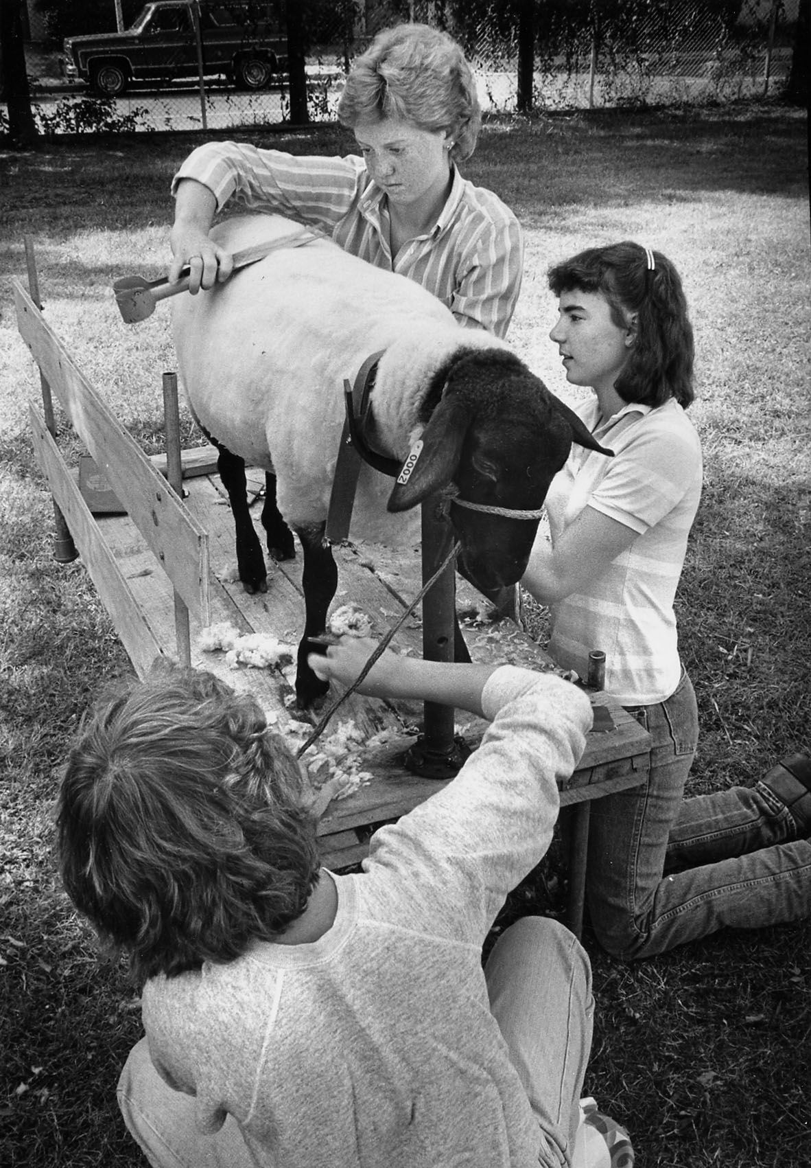 Fairs Dixie Classic81.jpg